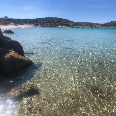 Sur L Ile De Cavallo * Bonifacio (Corsica)