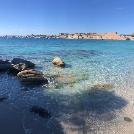 Sur L Ile De Cavallo Bonifacio (Corsica)