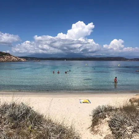 Sur L Ile De Cavallo Bonifacio (Corsica)