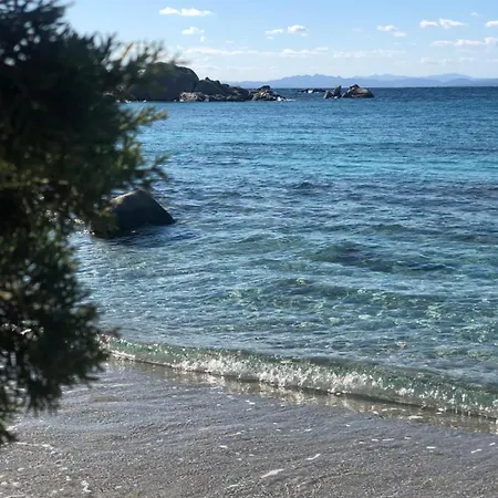 公寓 Sur L Ile De Cavallo