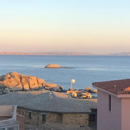 公寓 Sur L Ile De Cavallo