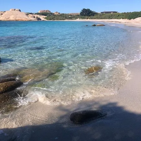 Sur L Ile De Cavallo 公寓 *